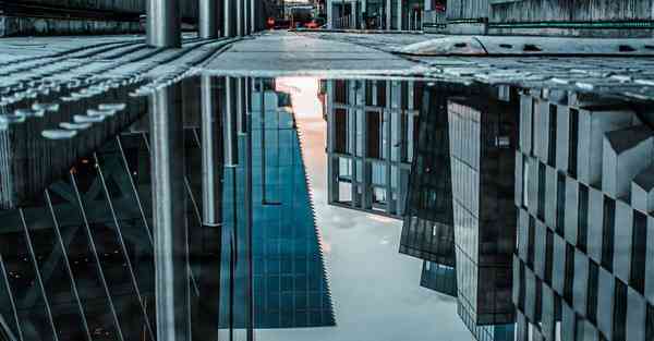 外国语单招大数据的行业文章