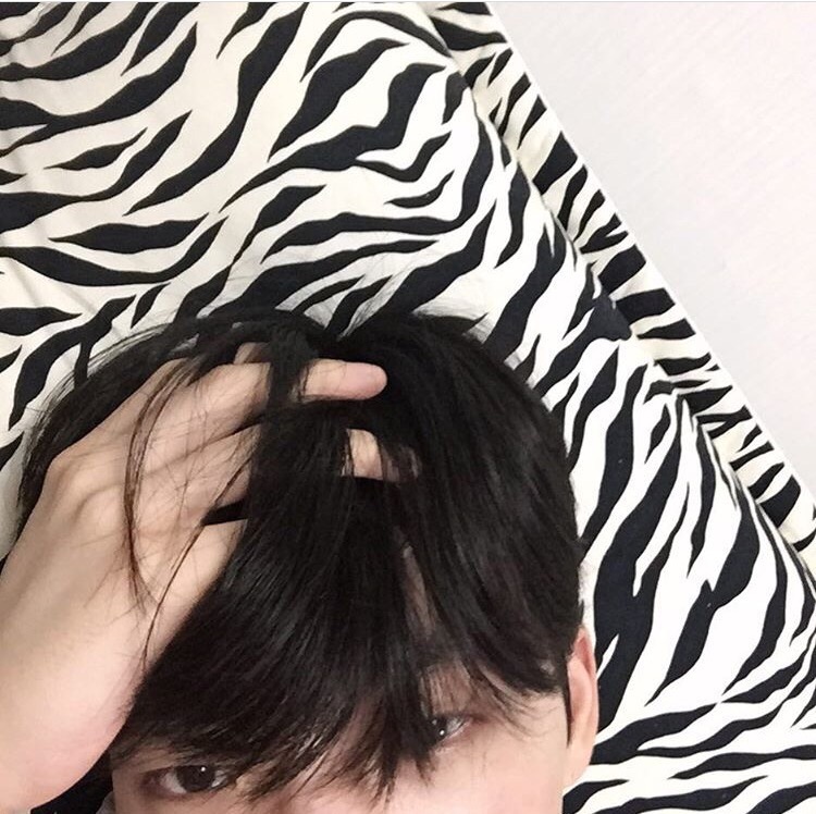 宇文瑞宏言