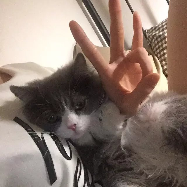 仇栋剑翔