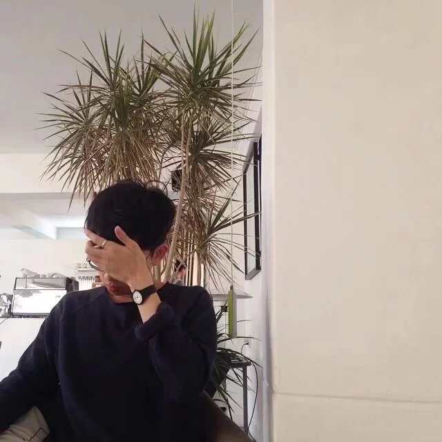 曹安茂兴