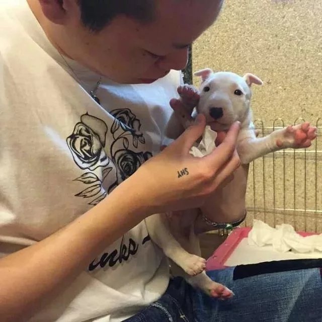 惠斌菁融