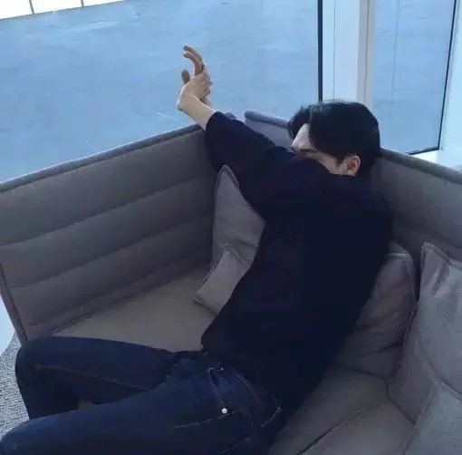 步青豪真