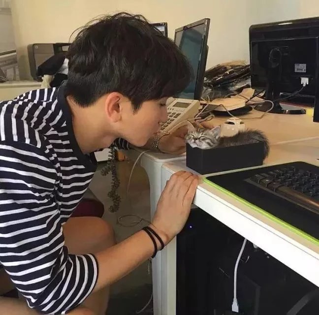 翁瑞策毅